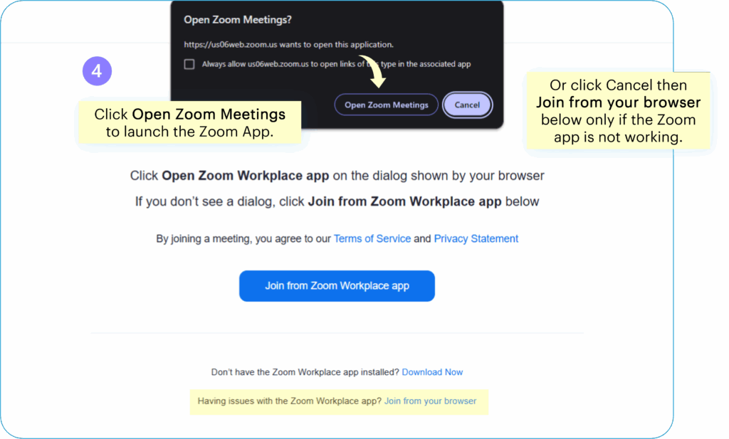 Zoom Browser or Desktop