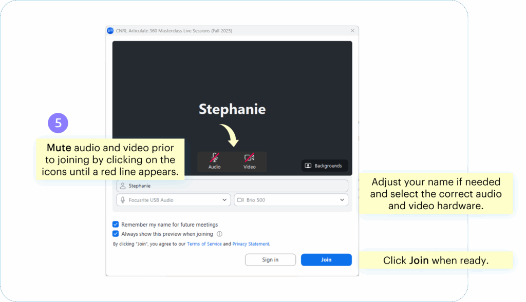 Zoom Mic and Video